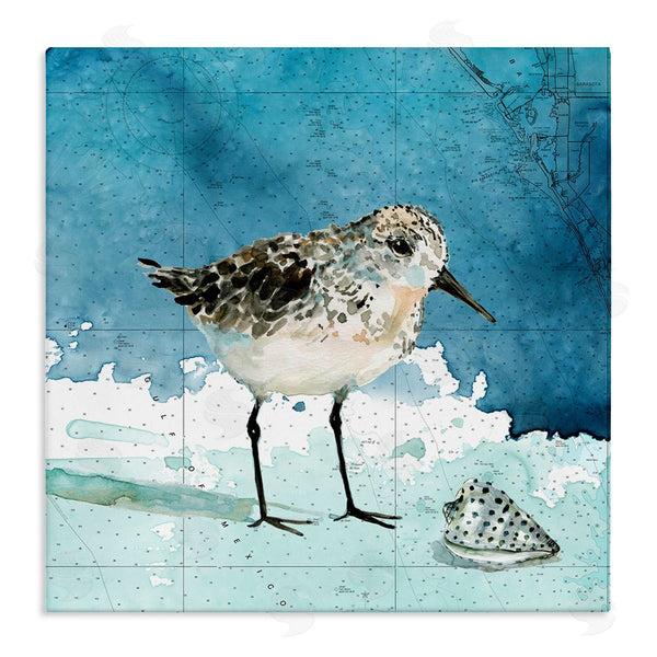 stupell industries Carol Robinson | Sandpiper Bird and Shell Nautical Ocean Map Wall Art