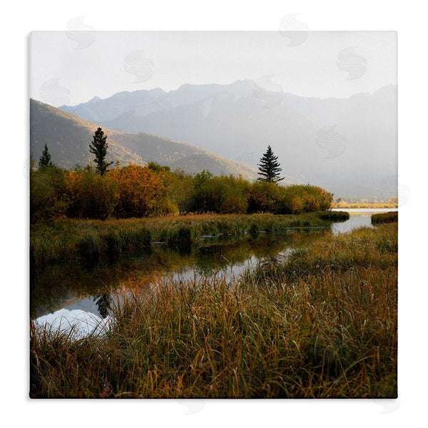 stupell industries Carol Robinson | Soothing Grassy Bog Stream Mountains Landscape Wall Art