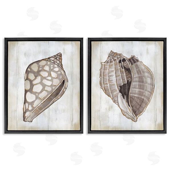 Stupell Industries Carol Robinson | Spotted Seashell Rustic Marine Life Wall Art