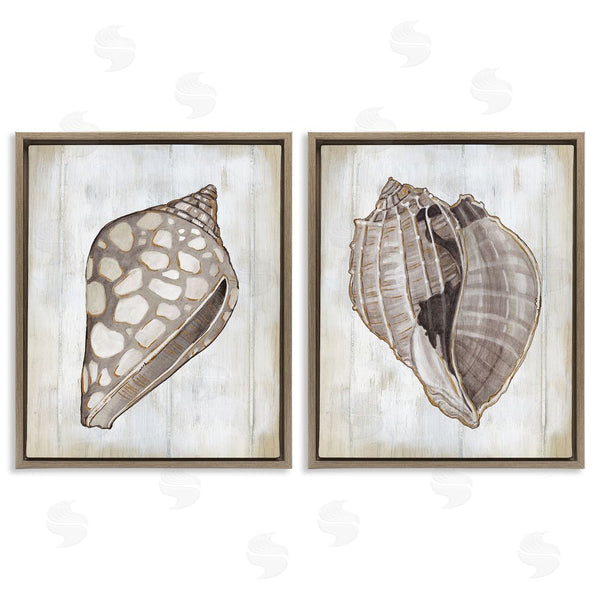 Stupell Industries Carol Robinson | Spotted Seashell Rustic Marine Life Wall Art