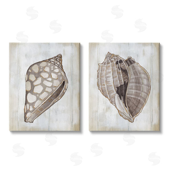 stupell industries Carol Robinson | Spotted Seashell Rustic Marine Life Wall Art