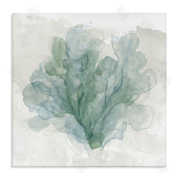 stupell industries Carol Robinson | Subtle Coral Abstraction