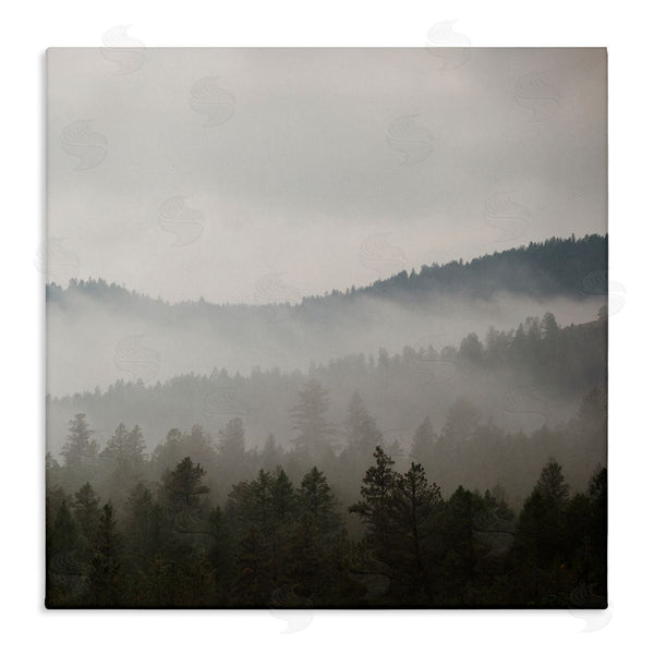 stupell industries Carol Robinson | Sun Rays Through Fog Over Woodland Mountain Hills Wall Art