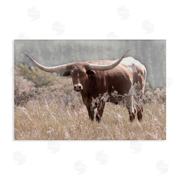 stupell industries Carol Robinson | Texas Longhorn Photograph