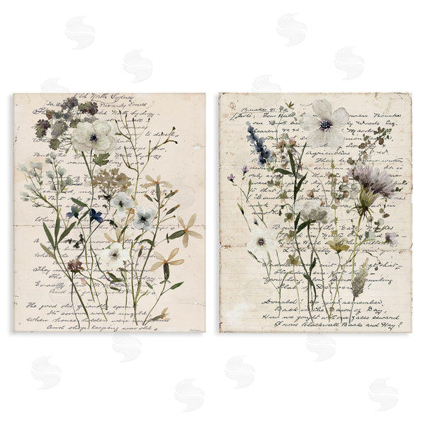 stupell industries Carol Robinson | Vintage Letters with Botanicals