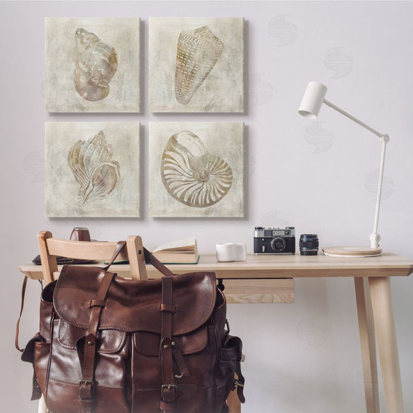 Stupell Industries Carol Robinson | Vintage Nautilus Seashells Patterned Aquatic Animals Wall Art
