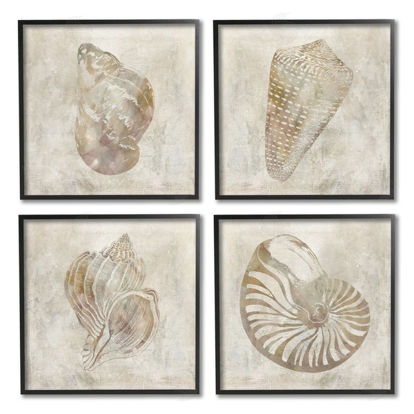 Stupell Industries Carol Robinson | Vintage Nautilus Seashells Patterned Aquatic Animals Wall Art