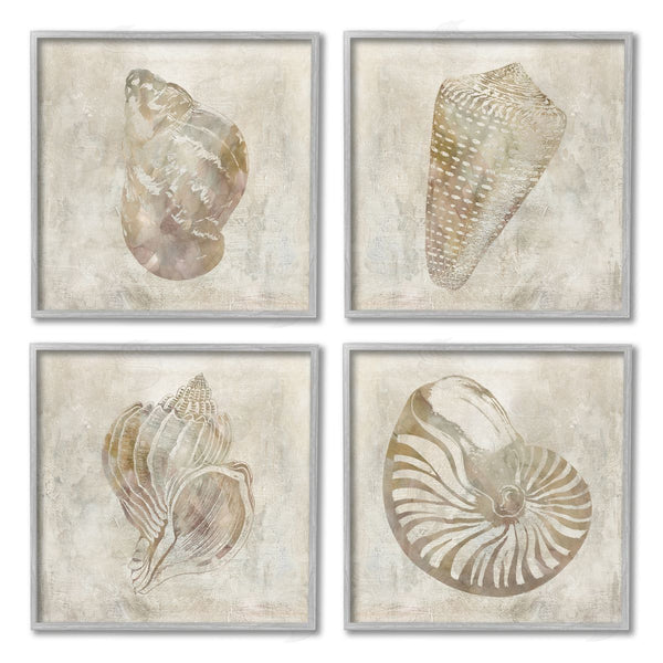 Stupell Industries Carol Robinson | Vintage Nautilus Seashells Patterned Aquatic Animals Wall Art