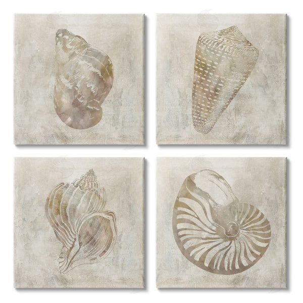stupell industries Carol Robinson | Vintage Nautilus Seashells Patterned Aquatic Animals Wall Art