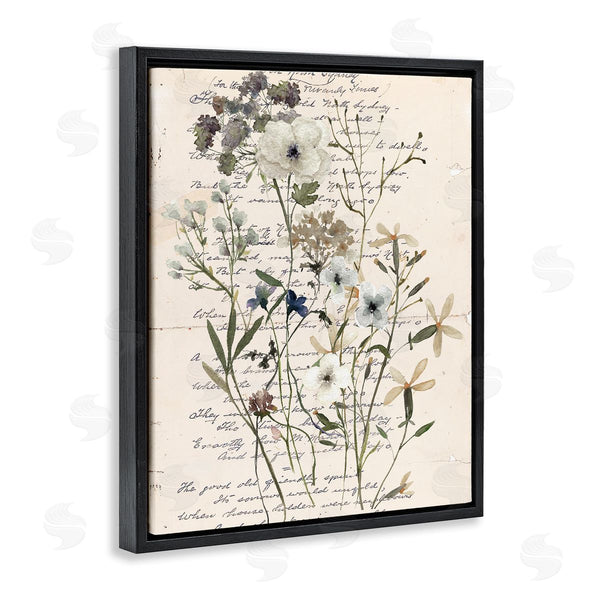 Stupell Industries Carol Robinson | Vintage Pressed Flowers