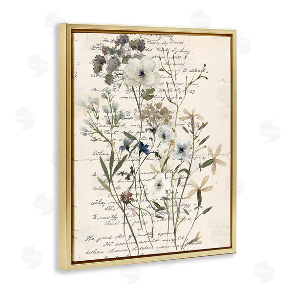 Stupell Industries Carol Robinson | Vintage Pressed Flowers