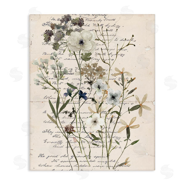 stupell industries Carol Robinson | Vintage Pressed Flowers
