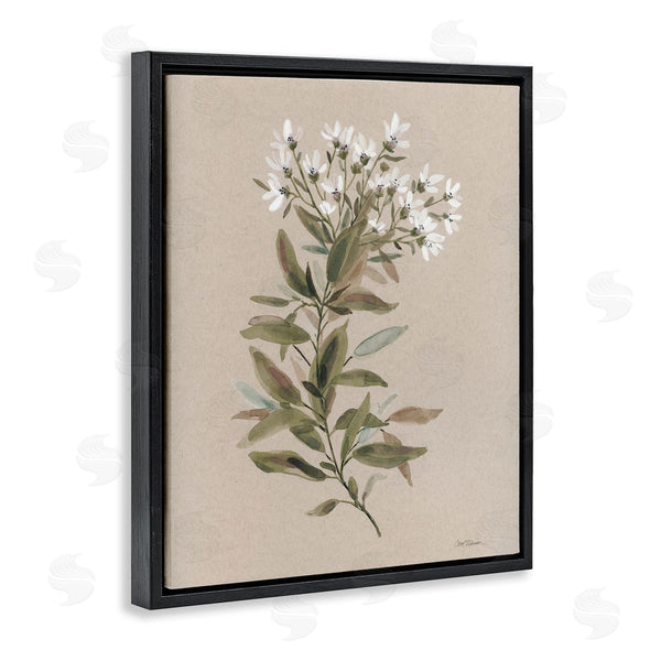Stupell Industries Carol Robinson | Watercolor Wildflower Sprig Wall Art