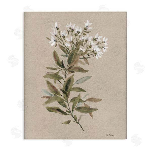 stupell industries Carol Robinson | Watercolor Wildflower Sprig Wall Art