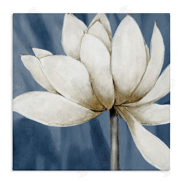 stupell industries Carol Robinson | White Lotus Petals