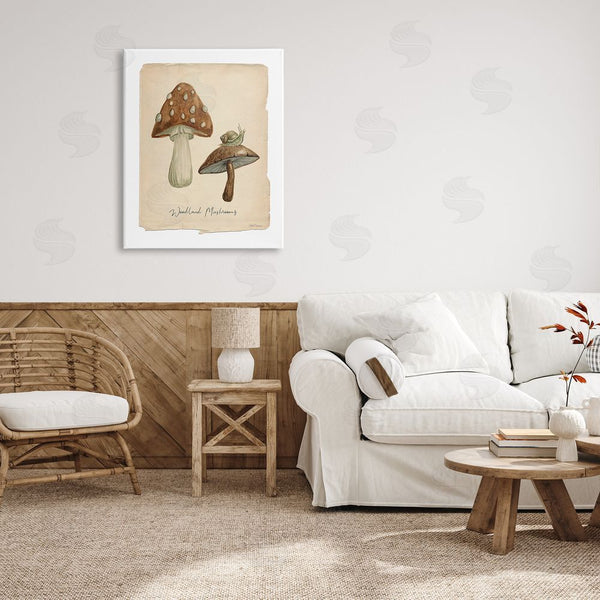 Stupell Industries Carol Robinson | Woodland Mushrooms & Snail Wall Art