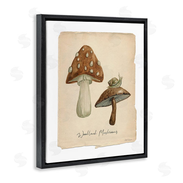 Stupell Industries Carol Robinson | Woodland Mushrooms & Snail Wall Art