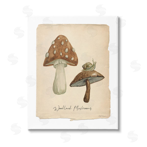 stupell industries Carol Robinson | Woodland Mushrooms & Snail Wall Art