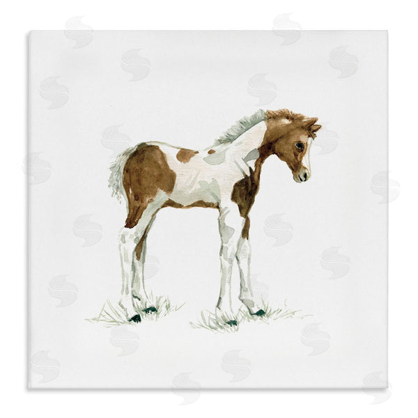 stupell industries Carol Robinson | Young Farm Horse Minimal Country Animal over White Wall Art