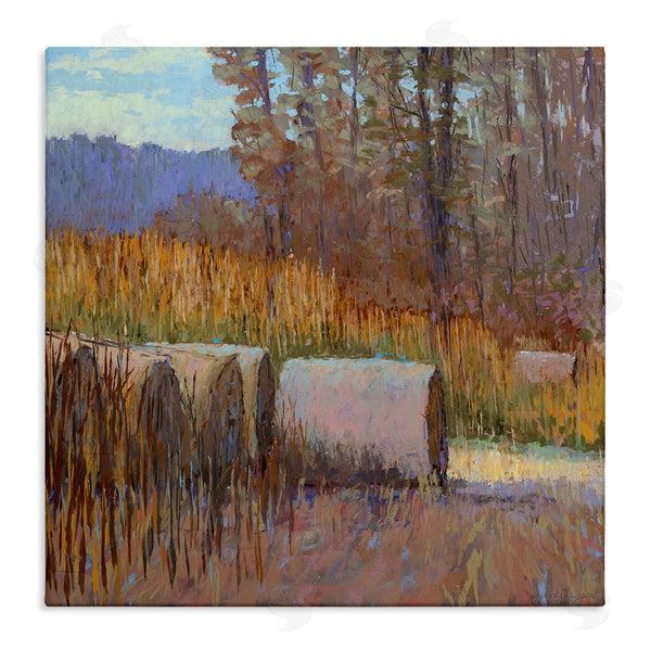 stupell industries Carol Strock Wasson | Country Hay Bales