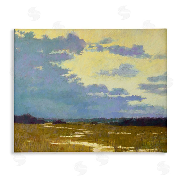 stupell industries Carol Strock Wasson | Rustic Country Clouds Wall Art