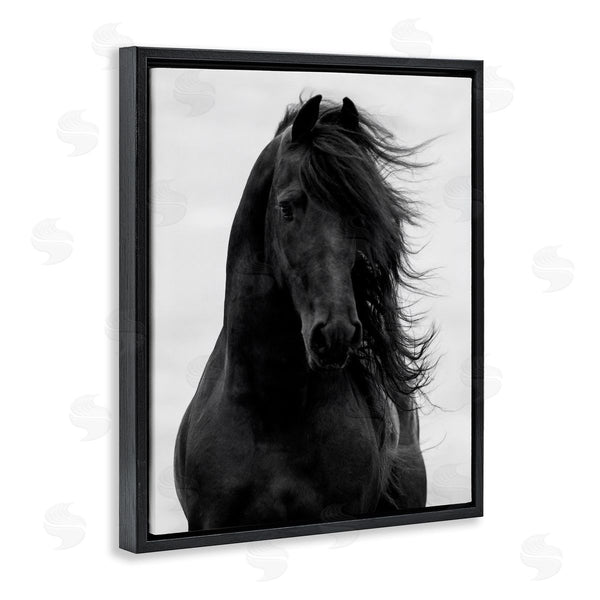 Stupell Industries Carol Walker | Black Stallion Horse Portrait