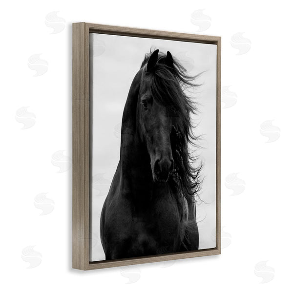 Stupell Industries Carol Walker | Black Stallion Horse Portrait