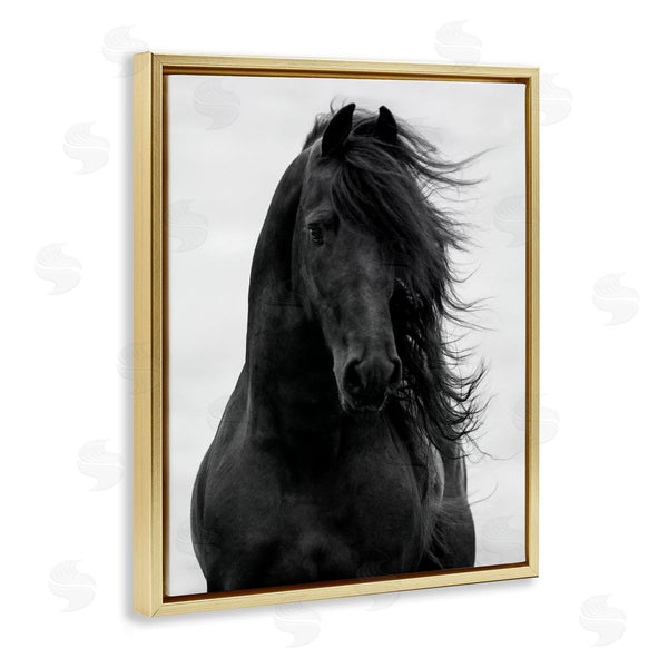 Stupell Industries Carol Walker | Black Stallion Horse Portrait