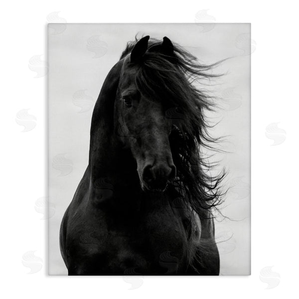 stupell industries Carol Walker | Black Stallion Horse Portrait