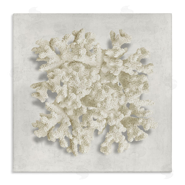 stupell industries Caroline Kelly | Aquatic Neutral Coral