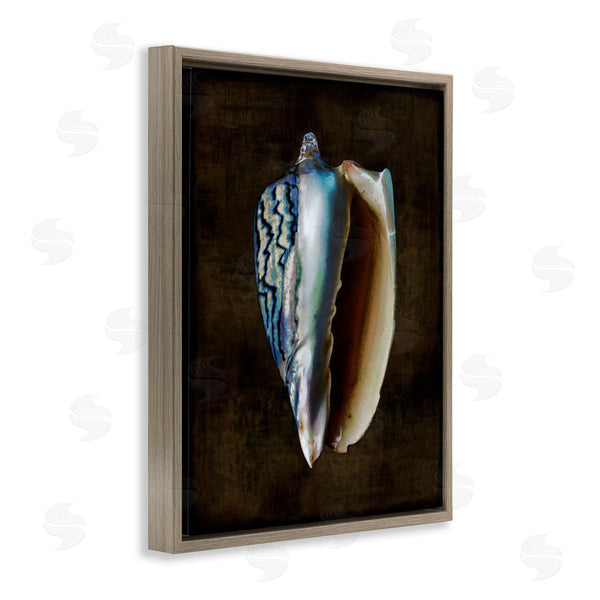 Stupell Industries Caroline Kelly | Conch Shell On Black Wall Art