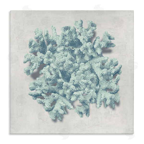 stupell industries Caroline Kelly | Coral Blue Sea Beach Design Wall Art