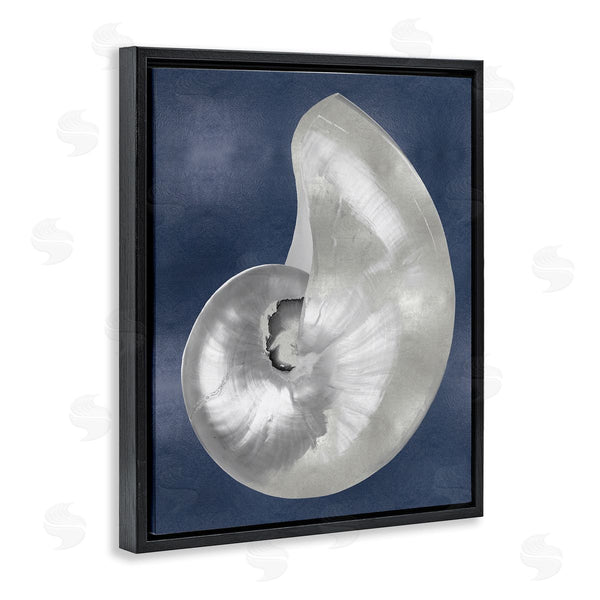 Stupell Industries Caroline Kelly | Curved Nautilus Shell
