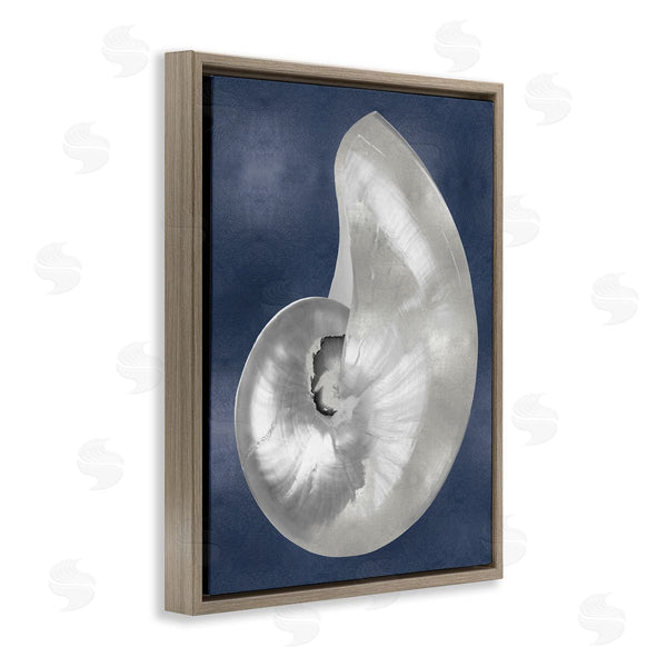 Stupell Industries Caroline Kelly | Curved Nautilus Shell