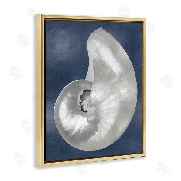 Stupell Industries Caroline Kelly | Curved Nautilus Shell