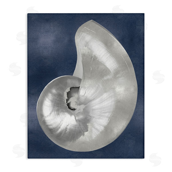 stupell industries Caroline Kelly | Curved Nautilus Shell