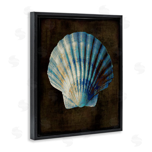 Stupell Industries Caroline Kelly | Dark Clam Shell Wall Art