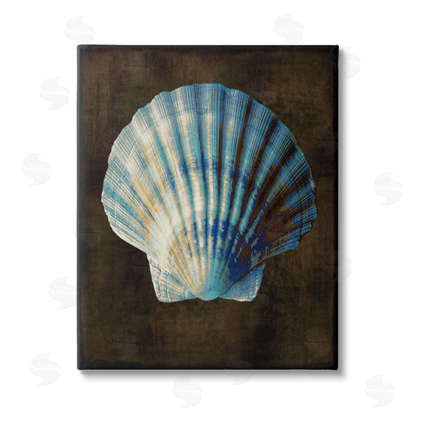 stupell industries Caroline Kelly | Dark Clam Shell Wall Art