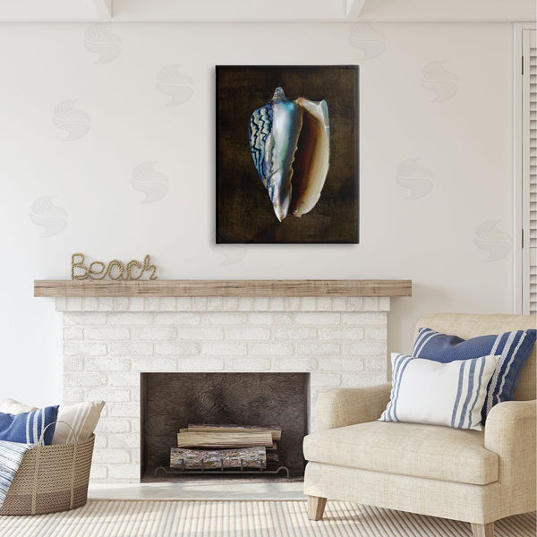 Stupell Industries Caroline Kelly | Dark Conch Shell Wall Art