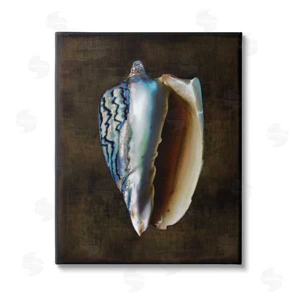 stupell industries Caroline Kelly | Dark Conch Shell Wall Art