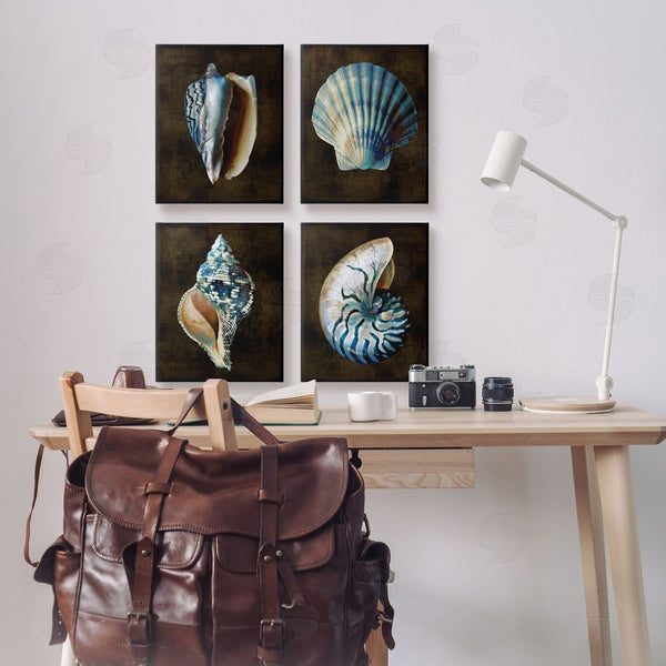 Stupell Industries Caroline Kelly | Dark Maritime Seashells Wall Art
