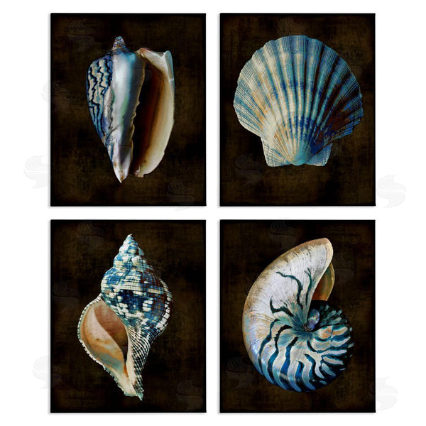 stupell industries Caroline Kelly | Dark Maritime Seashells Wall Art