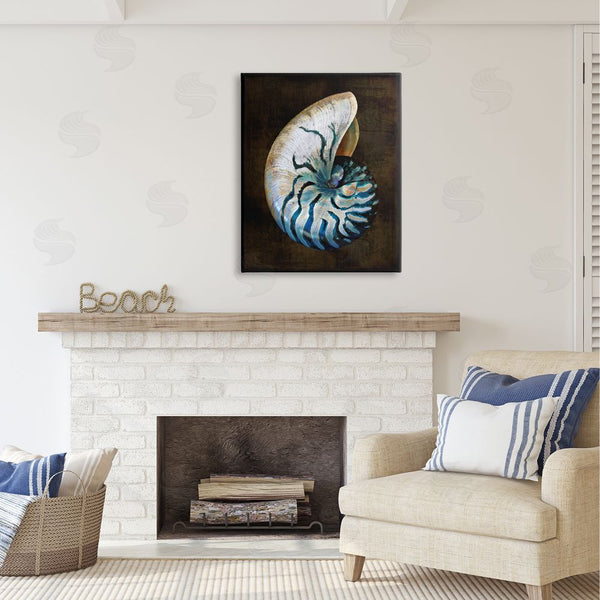Stupell Industries Caroline Kelly | Dark Nautilus Shell Wall Art