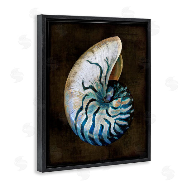 Stupell Industries Caroline Kelly | Dark Nautilus Shell Wall Art