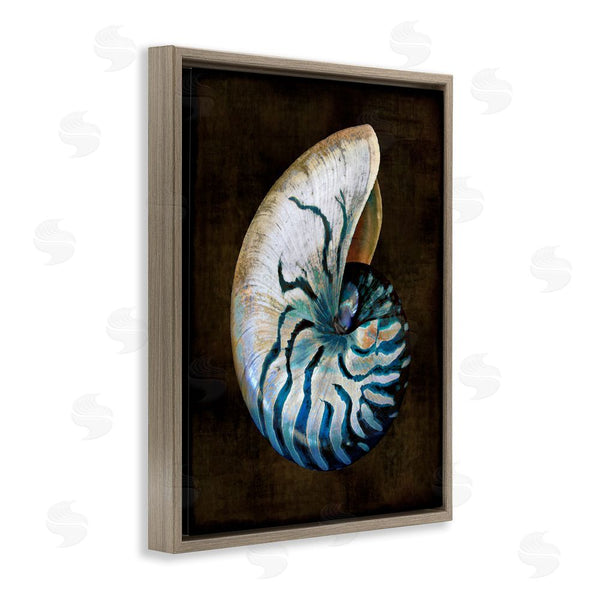 Stupell Industries Caroline Kelly | Dark Nautilus Shell Wall Art
