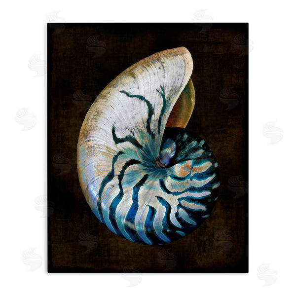 stupell industries Caroline Kelly | Dark Nautilus Shell Wall Art
