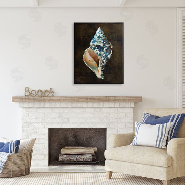Stupell Industries Caroline Kelly | Dark Patterned Conch Shell Wall Art