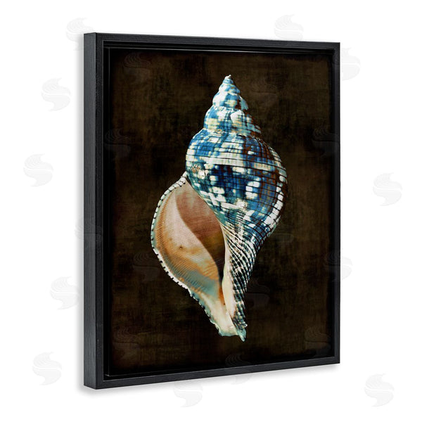 Stupell Industries Caroline Kelly | Dark Patterned Conch Shell Wall Art