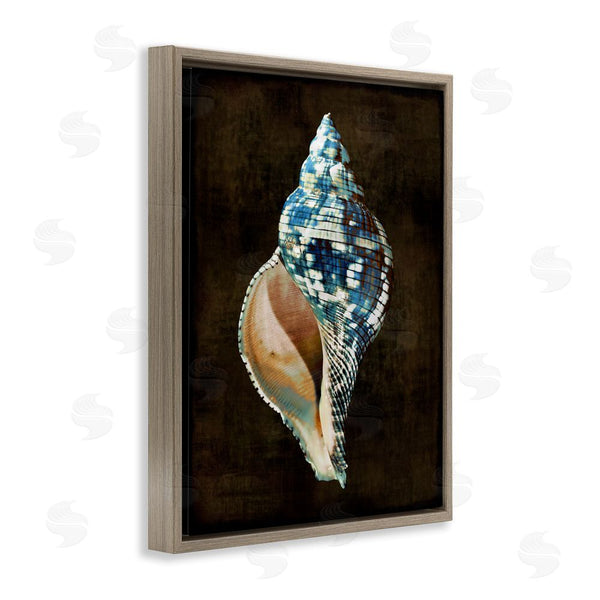 Stupell Industries Caroline Kelly | Dark Patterned Conch Shell Wall Art