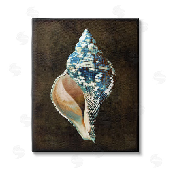 stupell industries Caroline Kelly | Dark Patterned Conch Shell Wall Art